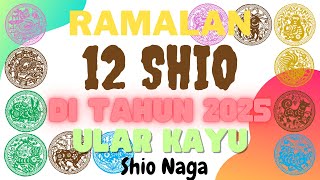 Peruntungan Shio Naga tahun 2025 [upl. by Lemmy]