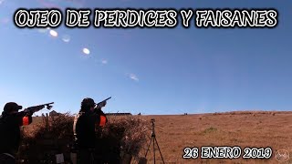 OJEO DE PERDICES Y FAISANES en GUADALCÁZAR 2019 HUNTING [upl. by Gunther737]