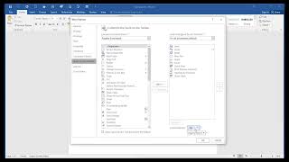 Microsoft Word 2016 Basic Settings [upl. by Acemat]