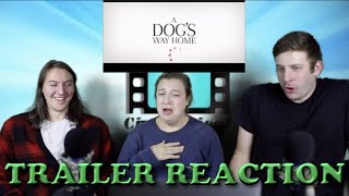 A DOGS WAY HOME  Official Trailer REACTION rant ADogsWayHome dogs TrailerReaction [upl. by Lednar]