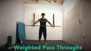 4 Exercises for Scapular Control and Rotator Cuff Strength [upl. by Monahon]