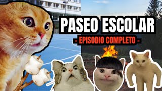 PASEO ESCOLAR episodio completo meme de gatos [upl. by Llyrpa]