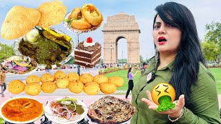 Living on FAMOUS Food for 24 Hours Challenge  Delhi Food Challenge [upl. by Ailekat14]