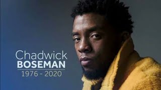 Chadwick Boseman Tribute amp FuneralFinal Tribute [upl. by Kostman]