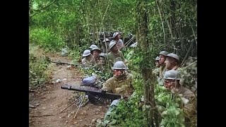 WWI Footage  Colorized amp HD Restoration  MeuseArgonne Offensive 1918 [upl. by Rozella]