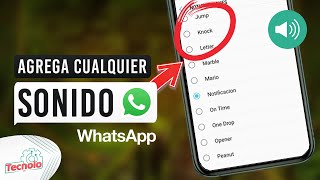 Como añadir nuevos sonidos y tonos de notificaciones a WhatsApp [upl. by Alamak]