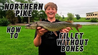 how to fillet pike boneless [upl. by Etana]