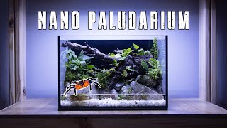 🦀 PALUDARIUM FOR BEGINNERS SET UP GUIDE [upl. by Htur]