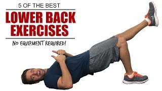 Best exercises to strengthen your lower back  Best exercises for low back pain [upl. by Ebbarta192]