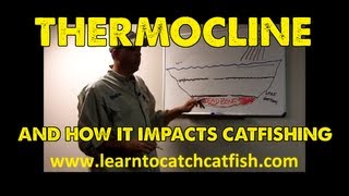 Thermocline and Its Effects On Catfishing Part 3 Of 4 [upl. by Arihsak]