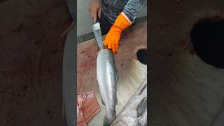 How to Fillet a Fish Salmon A Beginners Guide [upl. by Ulrike]