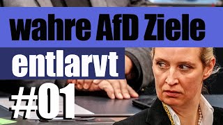 Die wahren AfD Ziele  Entlarvt in 90 Sek  afd lügenpresse antifascism Noafd demokratie [upl. by Maloy795]