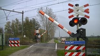 Spoorwegovergang Breukelen  Dutch railroad crossing [upl. by Aiyekal879]