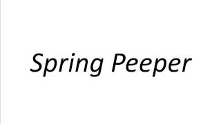 How to Pronounce Spring Peeper [upl. by Aicert690]