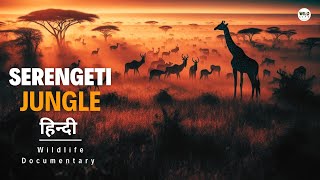 Serengeti Jungle Africa  हिन्दी डॉक्यूमेंट्री  Wild animals documentary in Hindi [upl. by Eentrok]