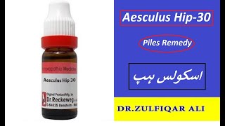 Aesculus Hip  Explanation  Doses  اسکولس ہپ  Explained in UrduHindi [upl. by Guenevere637]