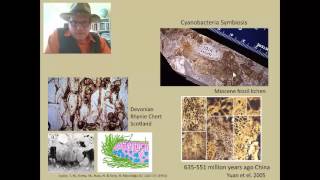 Lecture 27 Fossil Fungi [upl. by Layap]