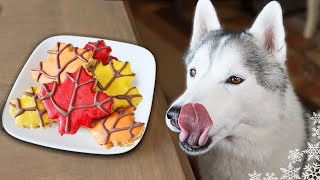 Maple Bacon Dog Treats with Bacon Glitter 🥓 DIY Dog Treats Recipe [upl. by Ttehr881]