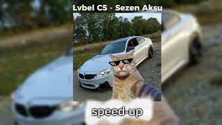 Lvbel C5  Sezen Aksu speedup [upl. by Eey488]