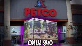 CRAZY Petco Aquarium Deal [upl. by Reo]