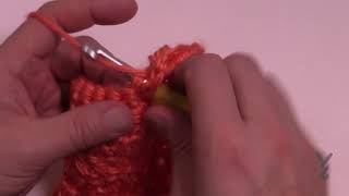 BEGINNER Crochet 3 hdc Cluster St [upl. by Arocal]