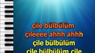 CILE BULBULUM CILE mpg karaoke [upl. by Hametaf]