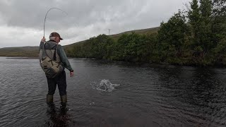 Low Water Salmon Fishing  A 7 Fish Day August 2024 [upl. by Lapo]