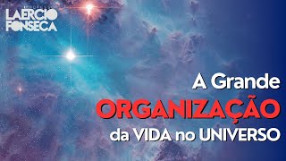 COMO esta ORGANIZADA a VIDA no UNIVERSO [upl. by Llirret]