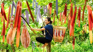 Harvesting Apocynaceae go to market sell  Cook delicious Duong Chau fried rice  Phương Harvesting [upl. by Chloris757]