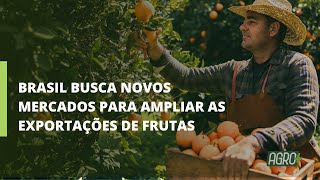 Brasil é 3º maior produtor de frutas do mundo [upl. by Rabaj]