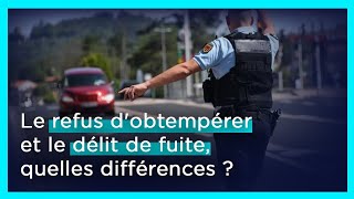 Le refus dobtempérer et le délit de fuite quelles différences [upl. by Dolph]