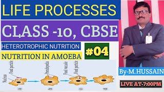 LIFE PROCESSES L04 HETEROTROPHIC NUTRITION NUTRITION IN AMOEBA [upl. by Revorg]