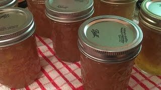 Easy Homemade Ginger Jam Marmalade Recipe [upl. by Oilerua]