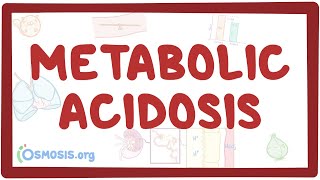 Metabolic acidosis  causes symptoms diagnosis treatment pathology [upl. by Tayyebeb]