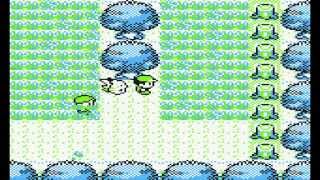 Level 100 Nidoking Glitch Pokemon Yellow [upl. by Arod]