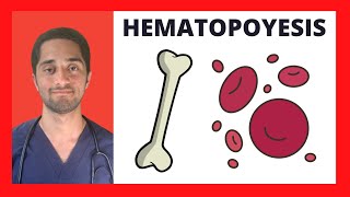 HEMATOPOYESIS  HEMATOLOGÍA [upl. by Rifkin]