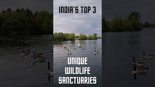 Unique wildlife Sanctuaries in INDIA shorts shortsfeed wildlife [upl. by Garap]