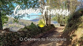 Camino Frances Stage 27  O Cebreiro to Triacastela [upl. by Isa]