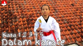 KATA 1 2 3 4 amp 5 KARATE [upl. by Refotsirc]