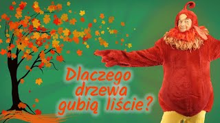 Dlaczego drzewa gubią liście  KOGUT RUBIN odpowiada na pytania dzieci [upl. by Iover]