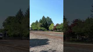 🚂Most powerful Sounder train honking coming closer to station ASMR Kent WA USA [upl. by Clausen]