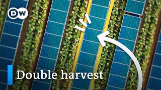 Why we should be putting solar panels on our fields and lakes [upl. by Novek596]