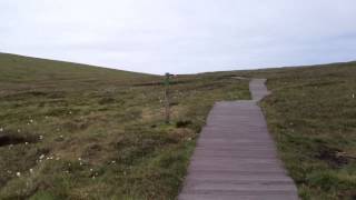 Hermaness Moors Unst  Shetland 2 [upl. by Herzog]