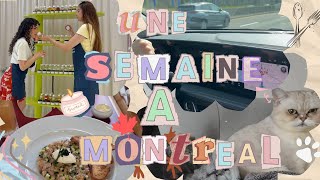 Une semaine avec moi à Montréal 🎀🕯️🐶✨🍁 [upl. by Resa876]