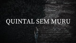 Vivendo em um quintal sem muro  Poesia [upl. by Radek]