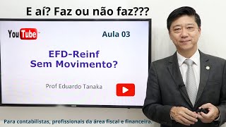 EFDReinf 2024  Sem Movimento  Aula 03  Prof Eduardo Tanaka [upl. by Nerag]