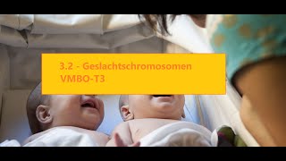 Biologieplaza  32 Geslachtschromosomen  VMBO T3 [upl. by Allertse]