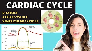 Alevel CARDIAC CYCLE Diastole atrial systole ventricular systoles the pressure volume changes [upl. by Llehsram]