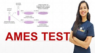 AMES TEST I Carcinogenic I Mutagenicity I CSIR NET I GATE I IITJAM I TIFR I GAT B I ICAR I ICMR I [upl. by Bunch355]