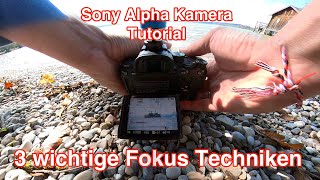 3 wichtige Fokustechniken an Sony Alpha Kameras [upl. by Stesha]